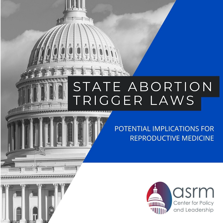 The Potential Impact of States’ Abortion Trigger Laws on Reproductive Medicine