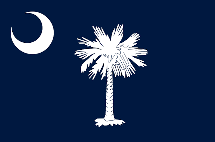 South Carolina flag